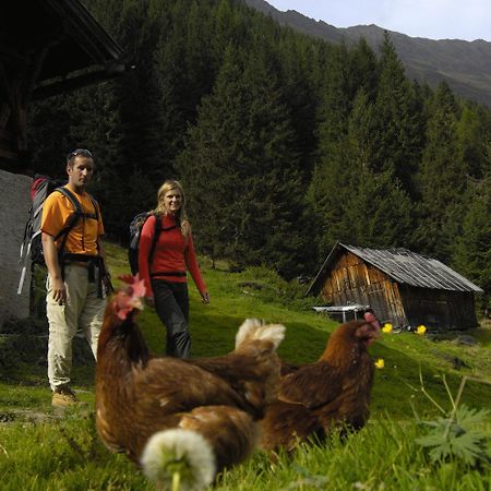 Aparthaus Camping Stubai Neustift im Stubaital Bagian luar foto