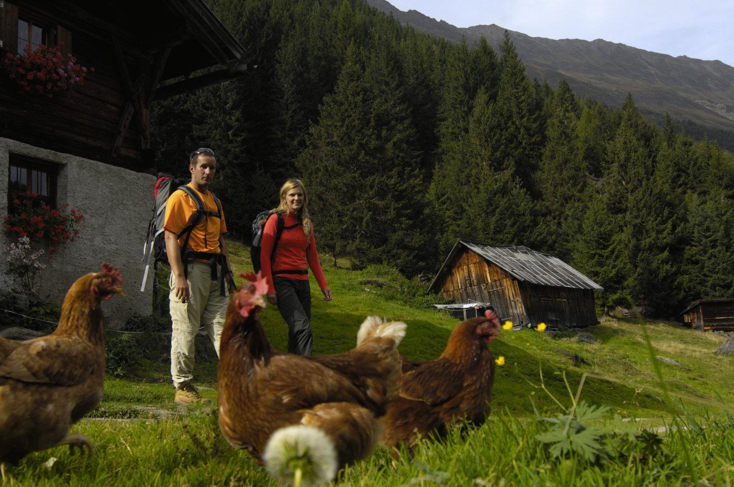 Aparthaus Camping Stubai Apartment Neustift im Stubaital Bagian luar foto